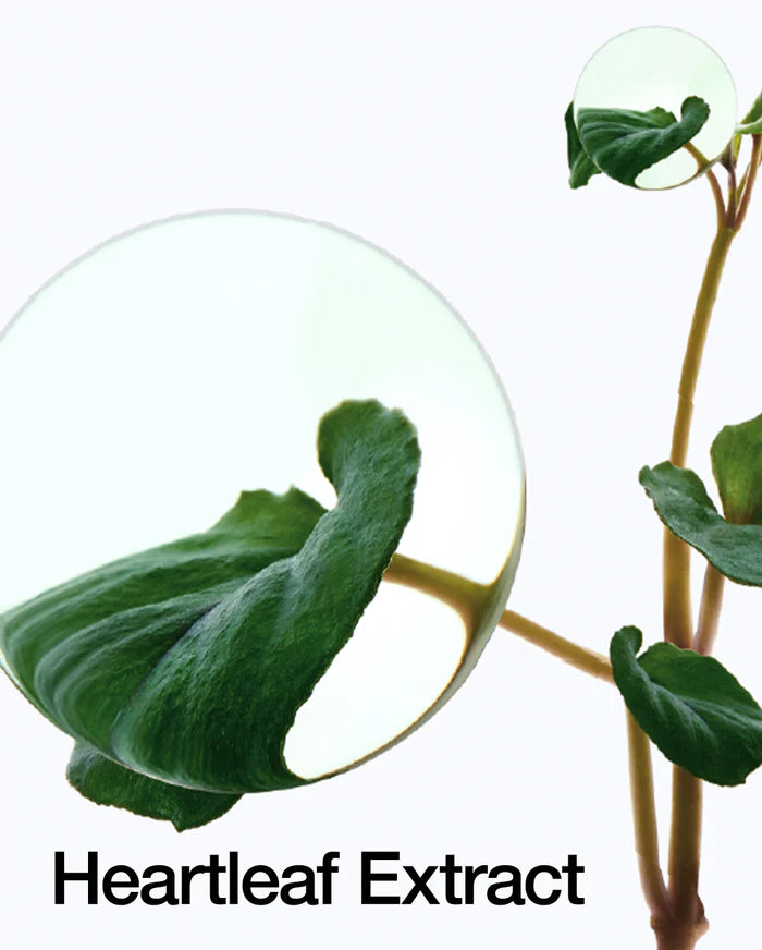 HEARTLEAF 77% SOOTHING TONER